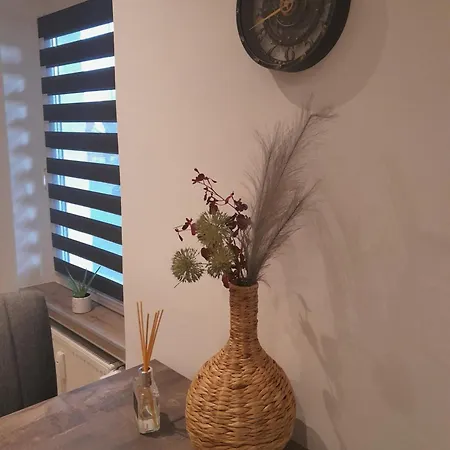 Thonic 1 * Quedlinburg