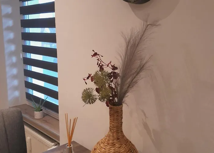 Thonic 1 * 奎德林堡